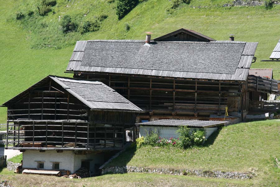 Farm