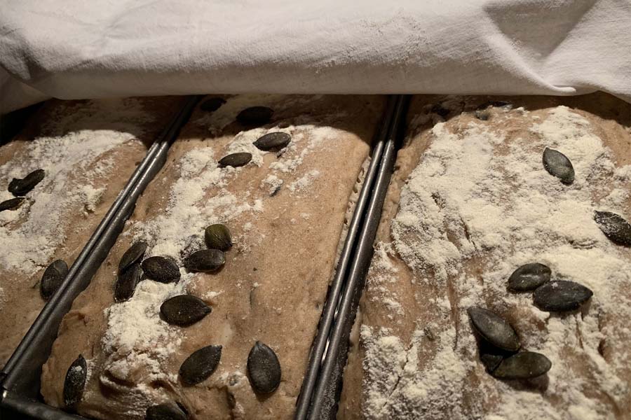 Pane