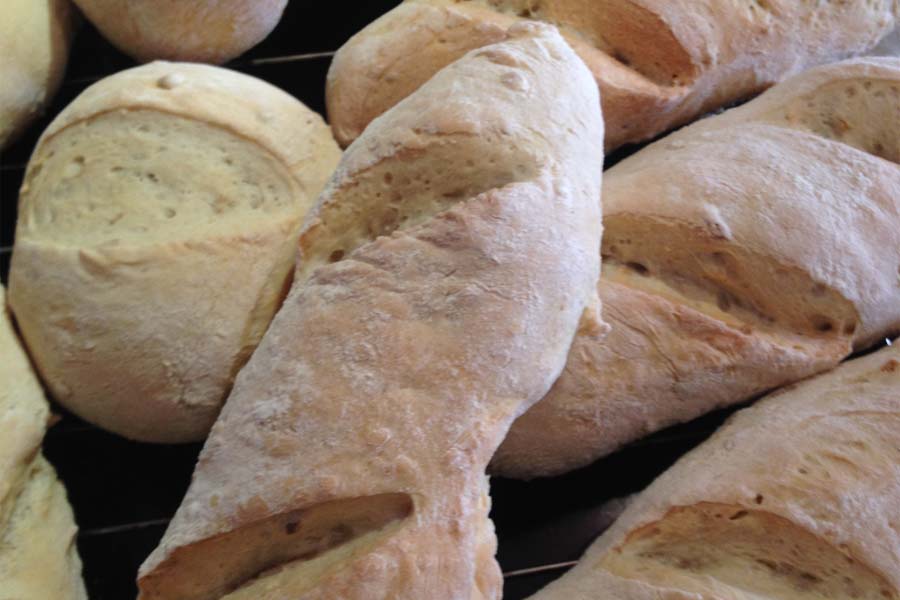Pane