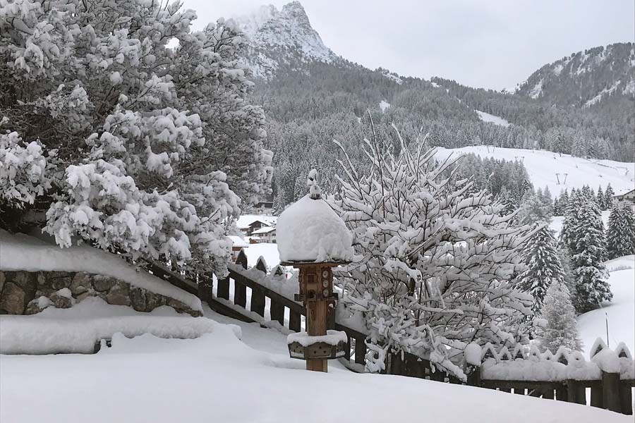 Maso Larciunei d'inverno